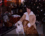 gail-dog.jpg (55837 bytes)